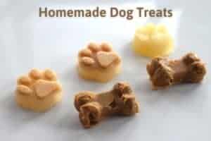 Homemade Dog Treats written over frozen dog popsicles made of peanut butter, sweet potato, and pumpkin. They're in the shape of puppy paws and little bones