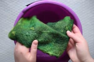 Holding green wet felted wool fabric over a plastic purple bucket filled with water