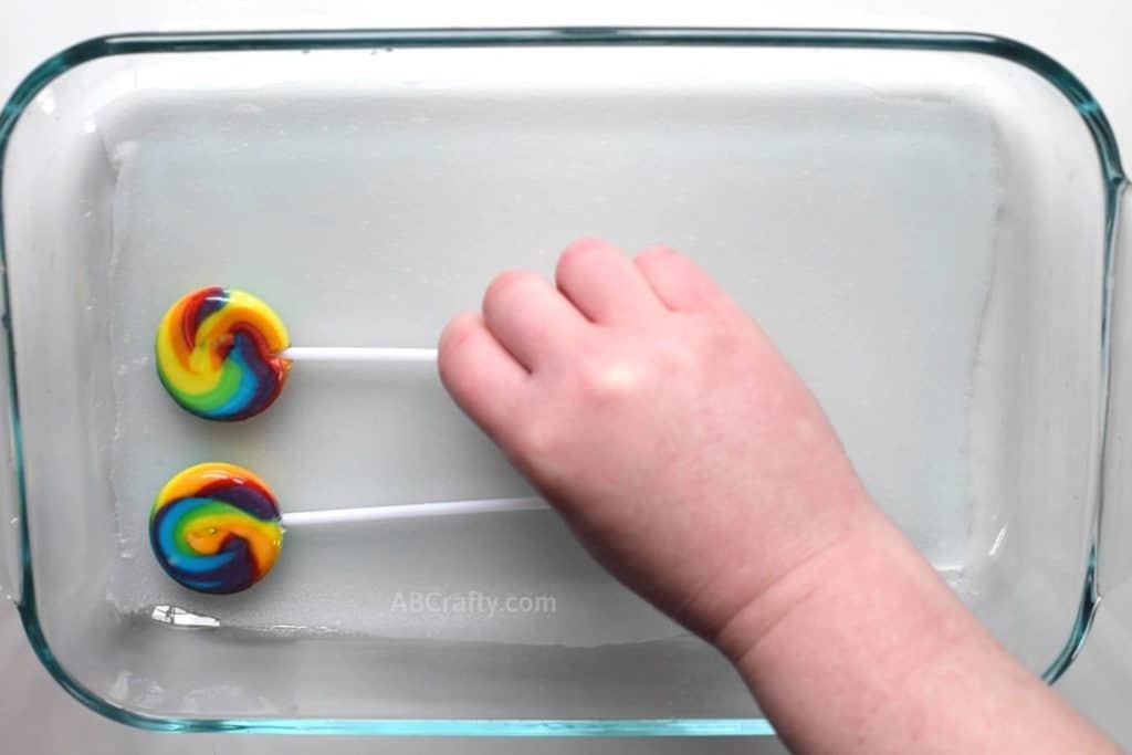 Placing small whirly pop lollipops onto wet fabric inside of a pyrex dish