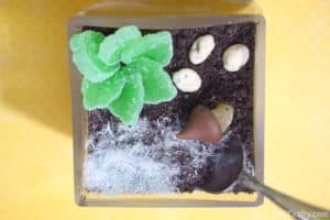 top view of edible terrarium with a spoon in the oreo dirt and showing the cotton candy grass, candy succulent, and chocolate rocks and mushroom