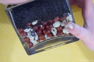 holding a glass terrarium filled on the bottom with boston baked beans and yogurt covered raisins for rocks and crushed oreos on top for dirt