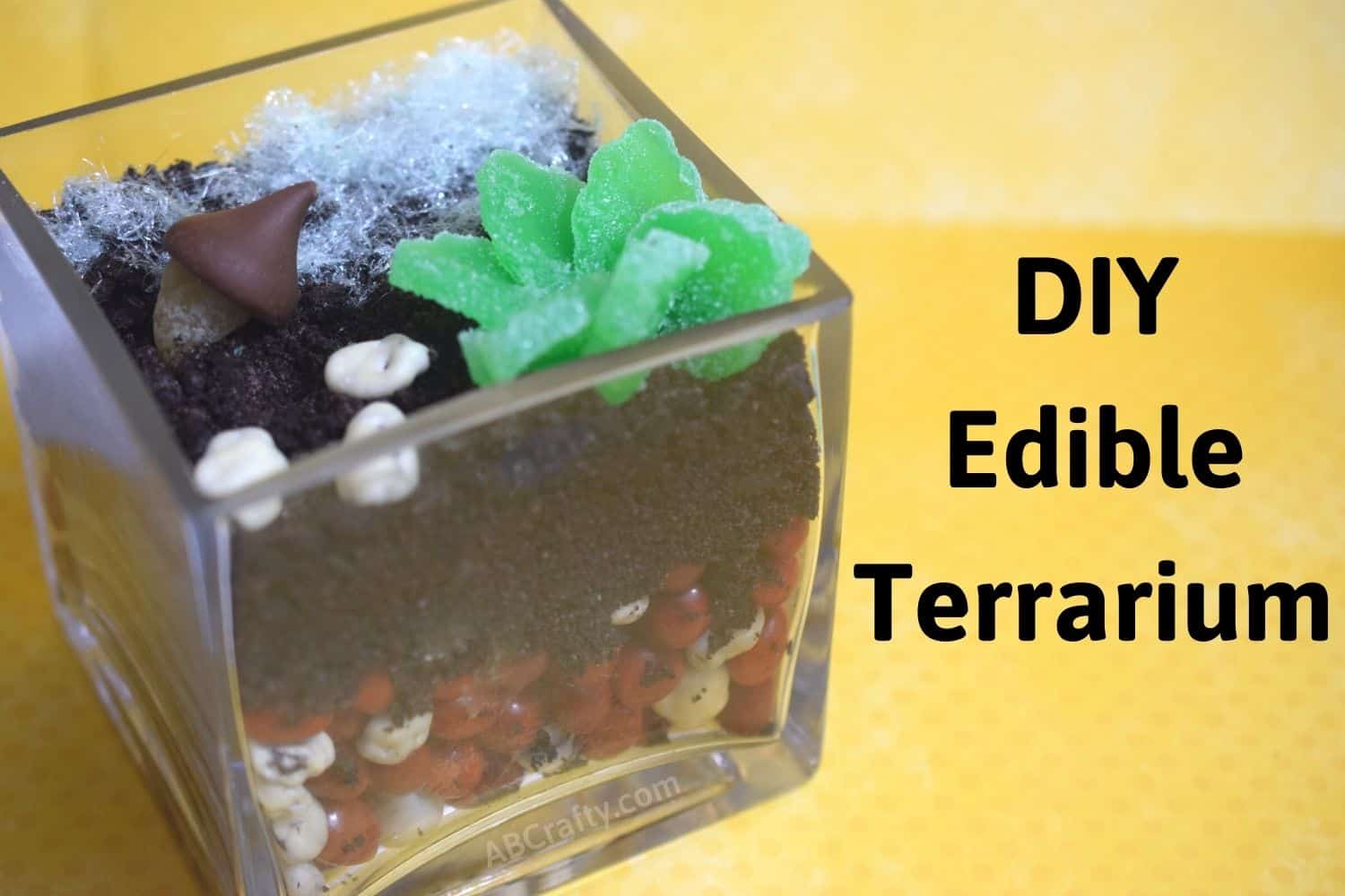 Edible Terrarium Unique DIY Terrarium Idea AB Crafty