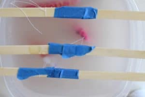 three sets popsicle sticks taped together with strings tied around them attached to ornaments hanging in a tupperware full of a borax solution