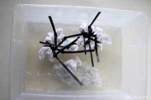 white shirt tied up with rubber bands and black zip ties soaking in a tub of soda ash solution