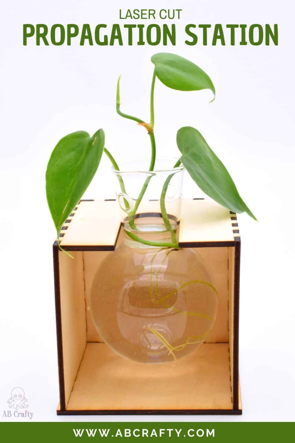 finished laser cut plant propagation station with a bulb vase holding a small vine plant with the title "laser cut propagation station, abcrafty.com"