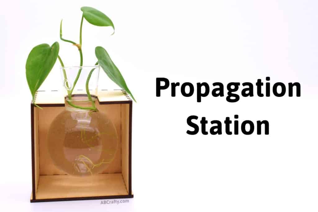 finished laser cut plant propagation station with a bulb vase holding a small vine plant with the title "propagation station"