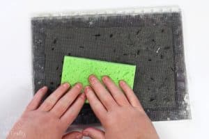 using a sponge to press the water out of the seed paper between the mesh