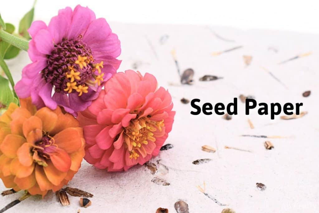 finished paper with seeds on it with different colored zinnias on top