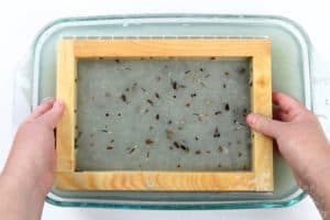 seeds covering the paper pulp in the frame