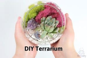 holding the finished succulent terrarium with the title "diy terrarium"