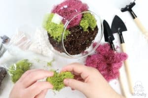 separating green dried moss