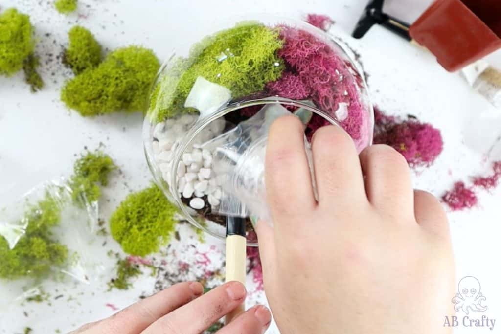 pouring pebbles over the dirt in the glass container in front of the moss