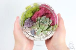 holding the finished diy terrarium with succulent, crystal, and plastic squirrel figurine