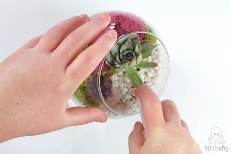 DIY Terrarium | How to Make Your Own Succulent Terrarium - AB Crafty