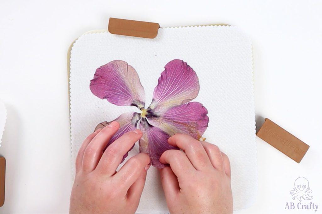 carefully peeling the hibiscus petals