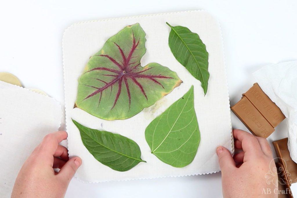 putting leaves onto the flower press