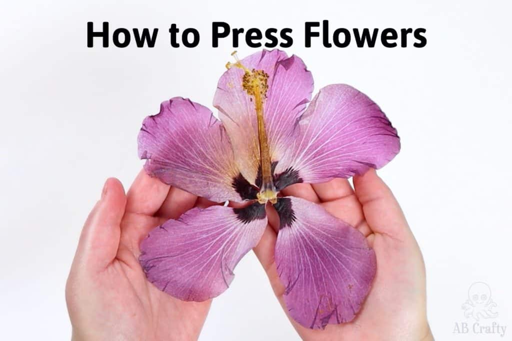 How to Press Flowers in Minutes  Microwave Flower Press - AB Crafty