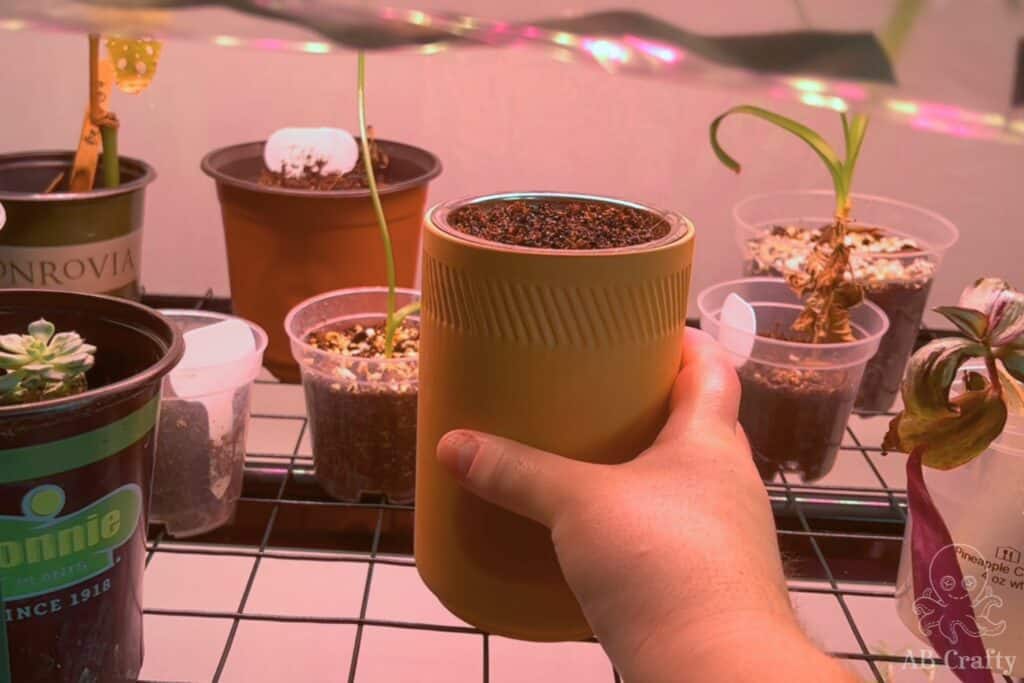 placing a terra cotta pot into a greenhouse