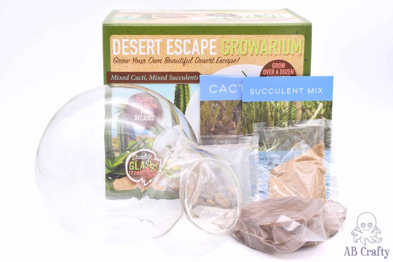unique gardener desert terrarium kit with contents of kit shown